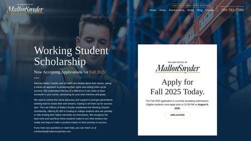 Working Student Scholarship